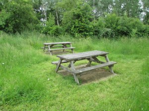 a good spot for lunch