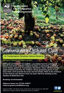 TM Orchard poster
