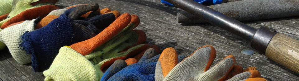 Trumpington Community Orchard