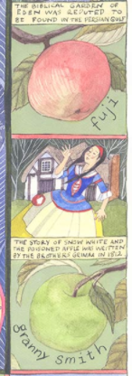 Detail from Apple World map by Helen Cann